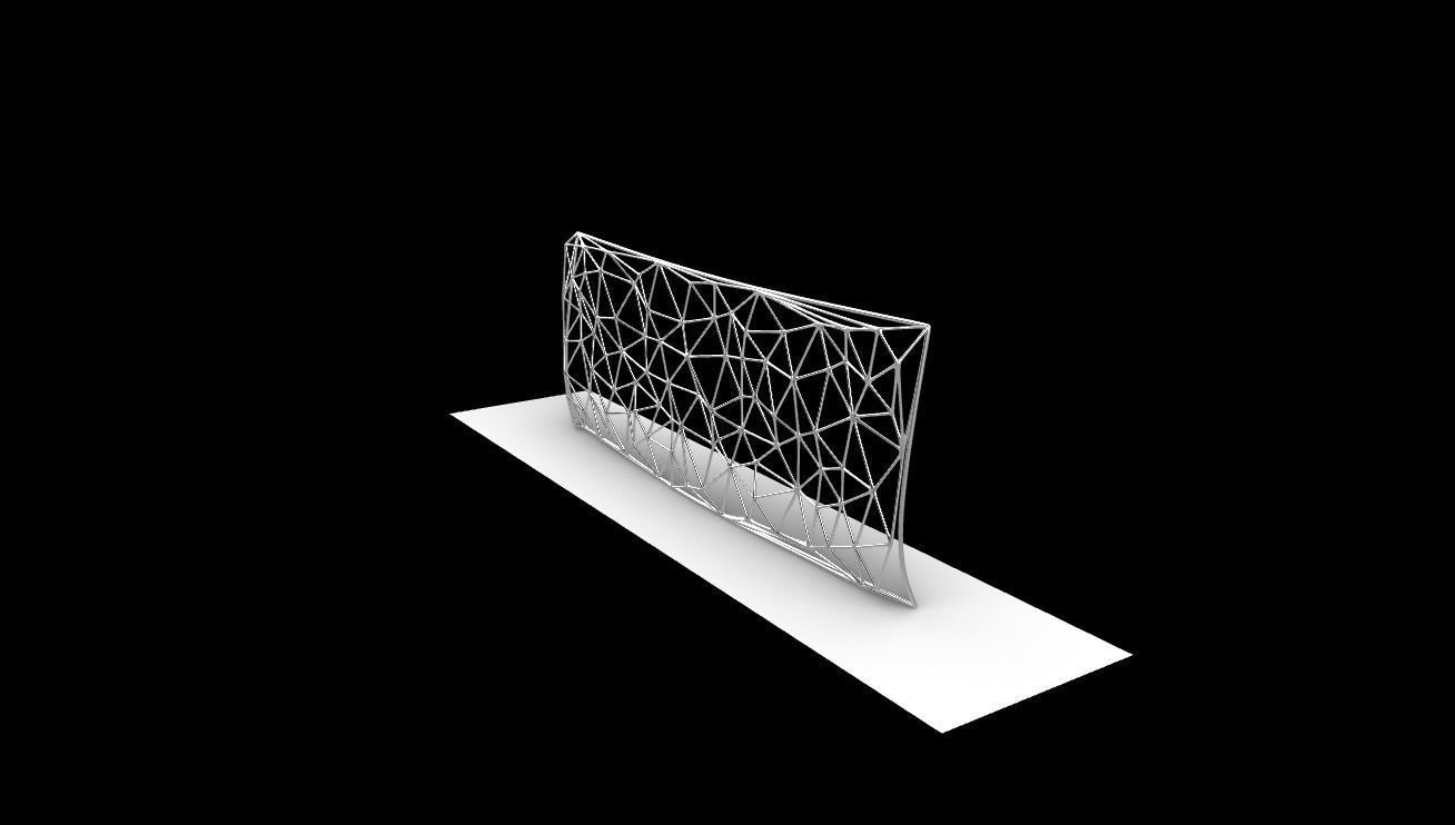 Triangulated Wall random points v5 3D model_14