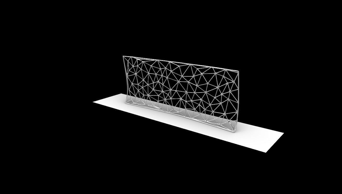 Triangulated Wall random points v5 3D model_4
