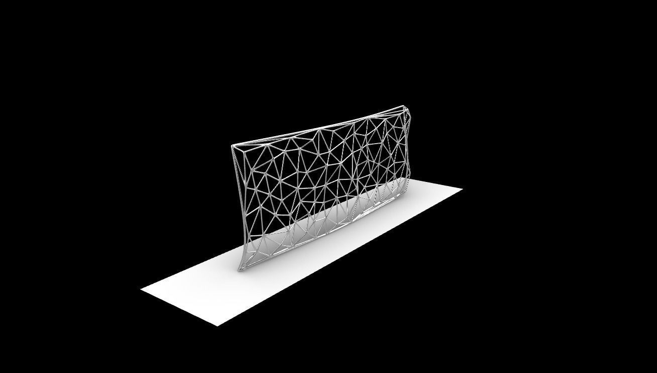 Triangulated Wall random points v5 3D model_9