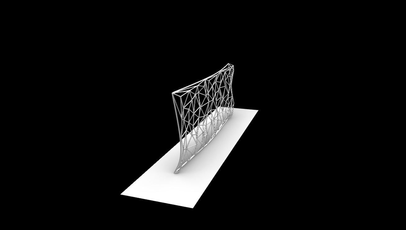 Triangulated Wall random points v5 3D model_8