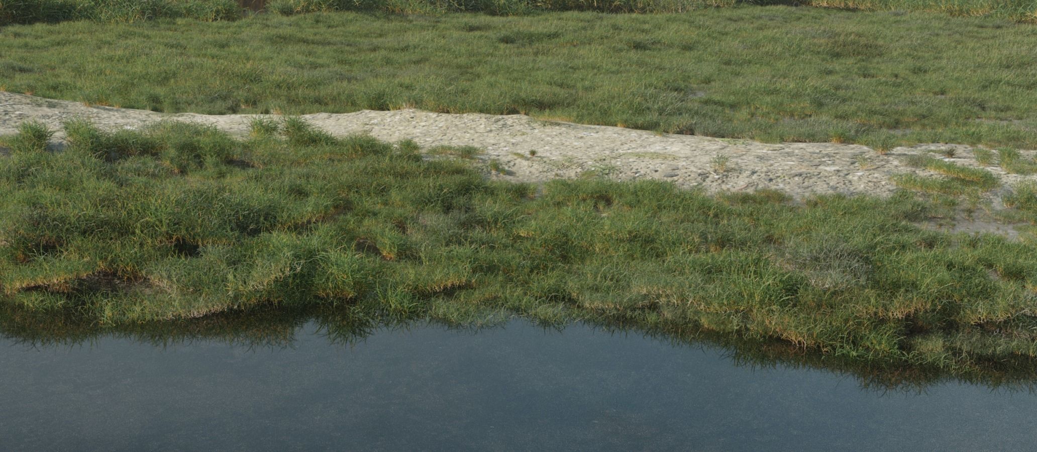 19 realistic grass models Free 3D model_2