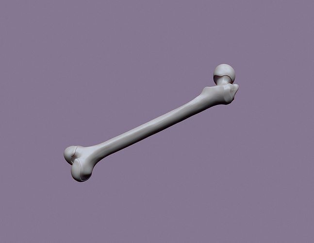 human femur 3D print model