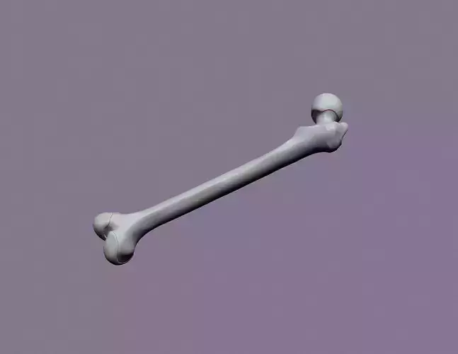 human femur 3D print model