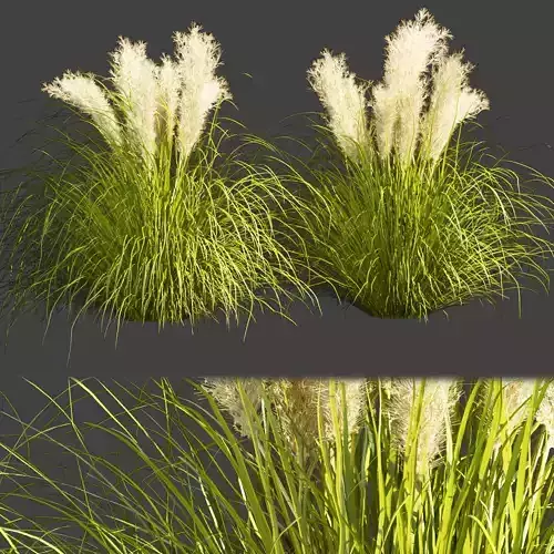 Collection plant vol 385 - grass - outdoor - foliage 3D model
