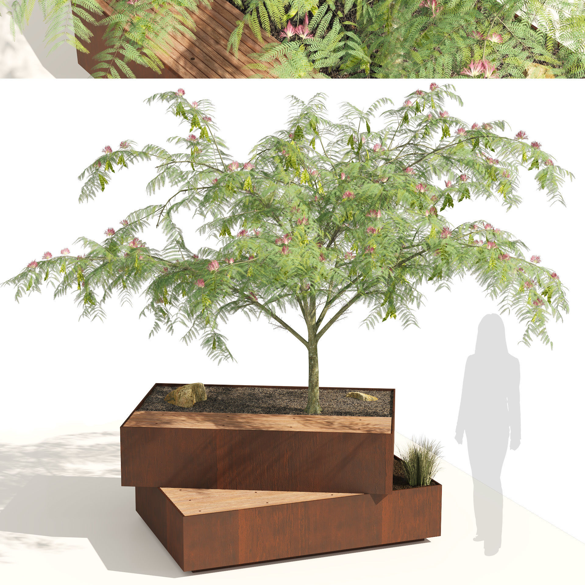 Landscape Bench with Mimosa tree pot Low-poly 3D model_6