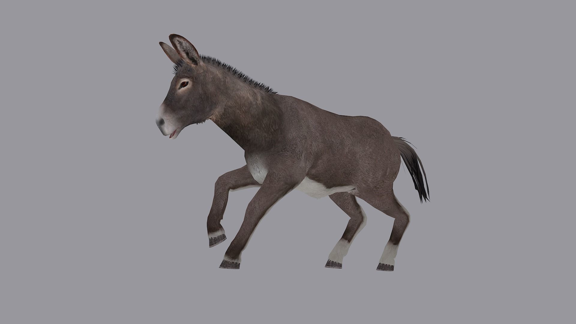 animated donkey Low-poly 3D model_6
