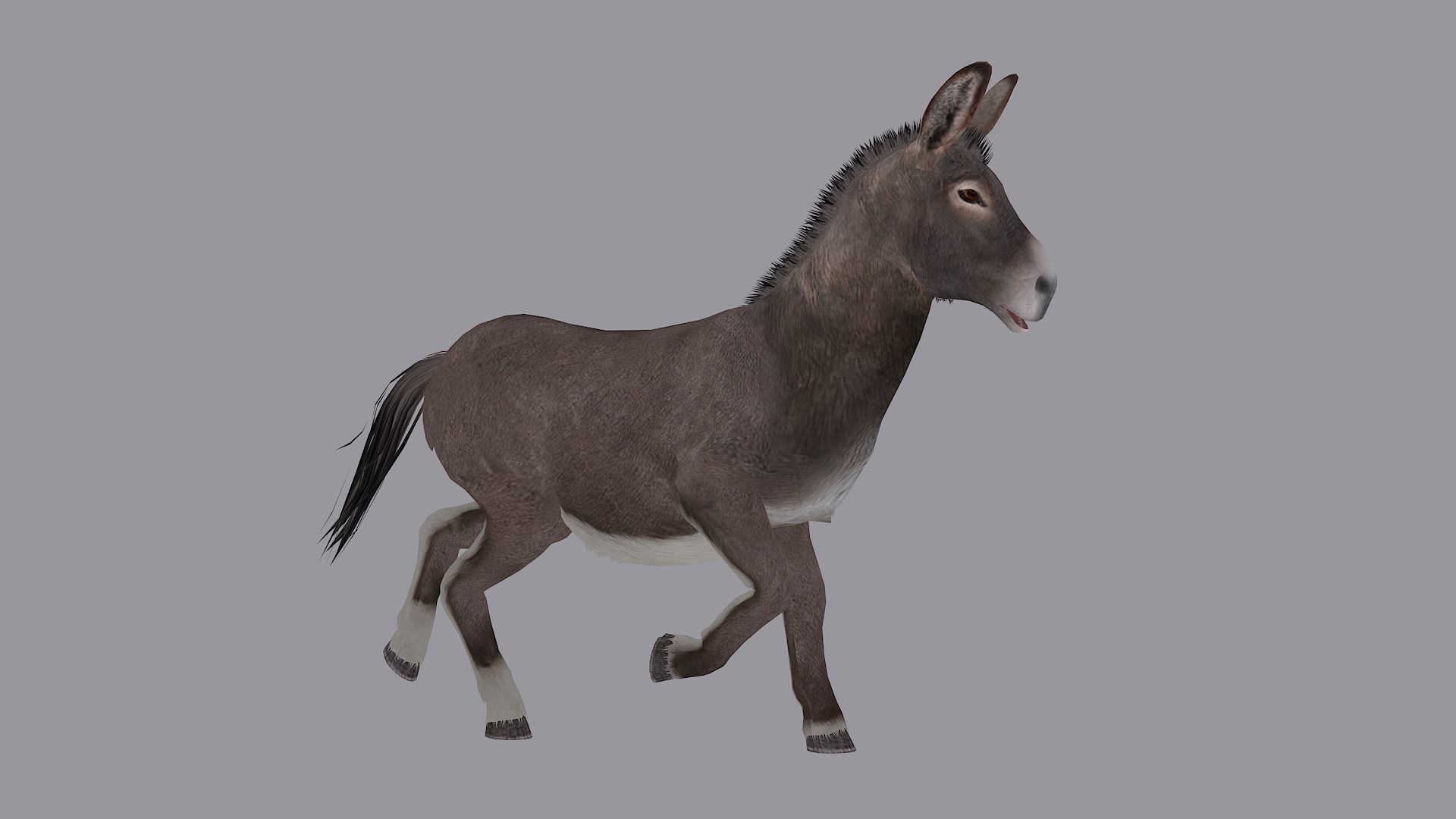 animated donkey Low-poly 3D model_7