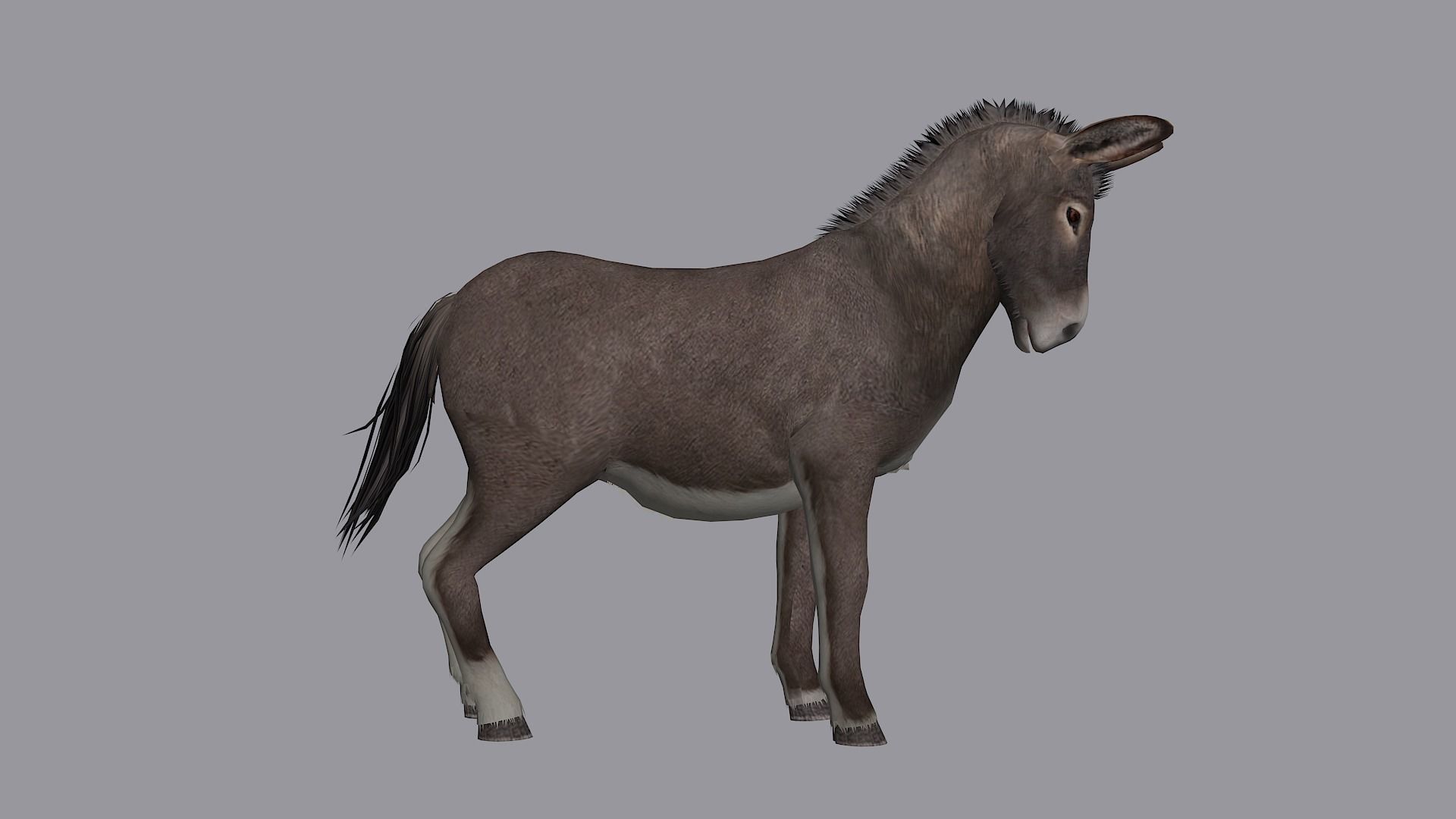 animated donkey Low-poly 3D model_4