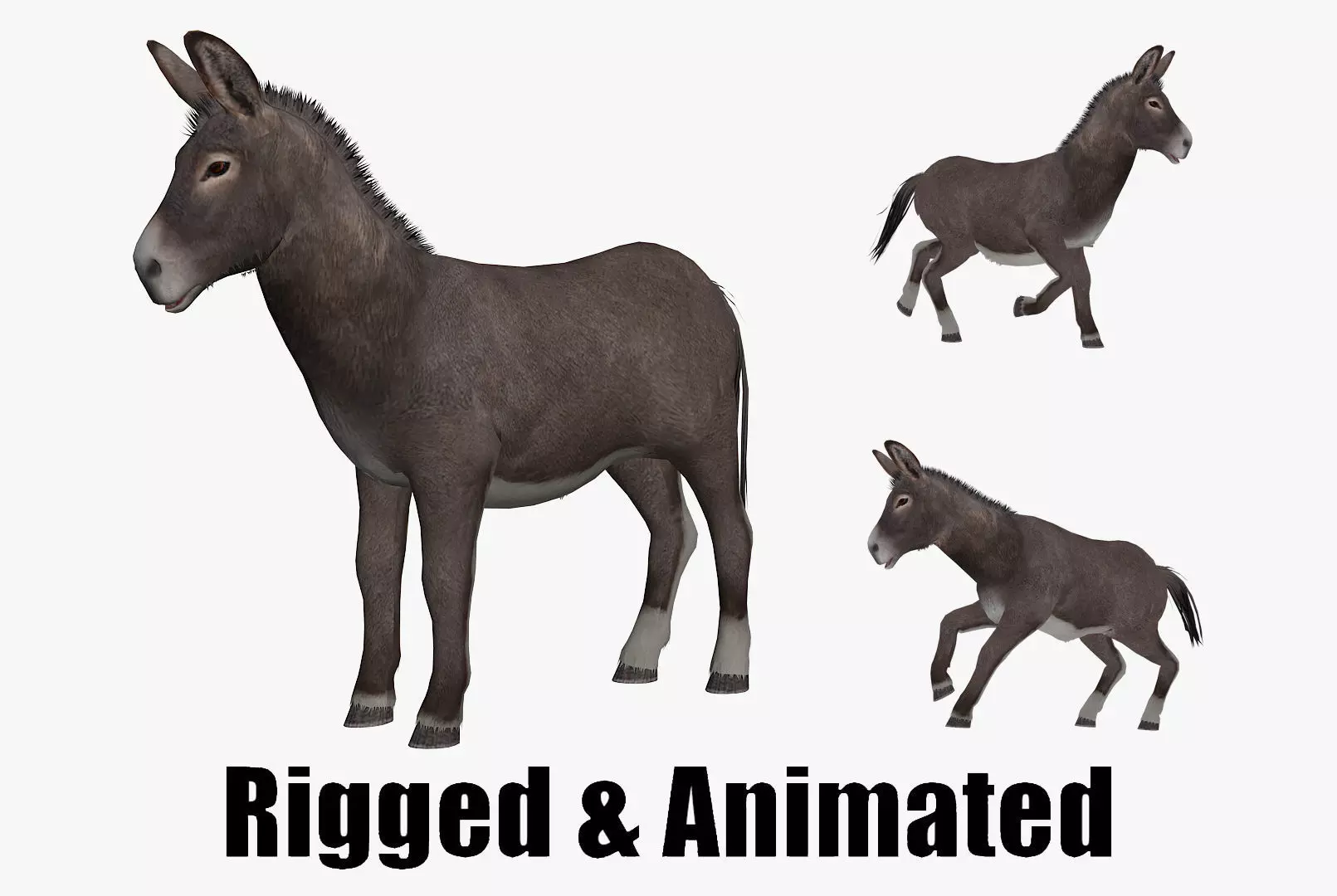 animated donkey Low-poly 3D model_0