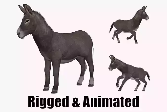 animated donkey Low-poly 3D model