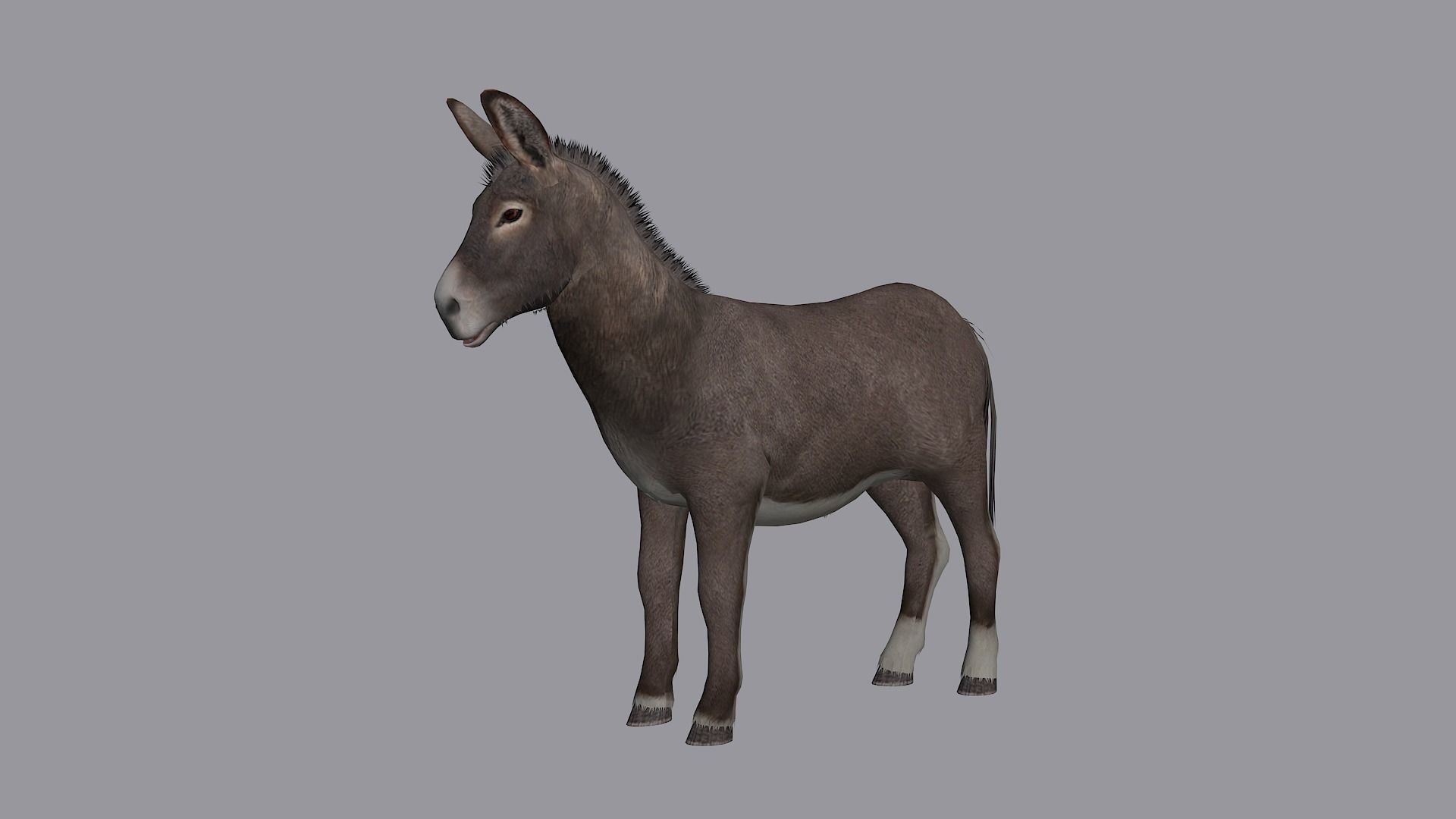 animated donkey Low-poly 3D model_3