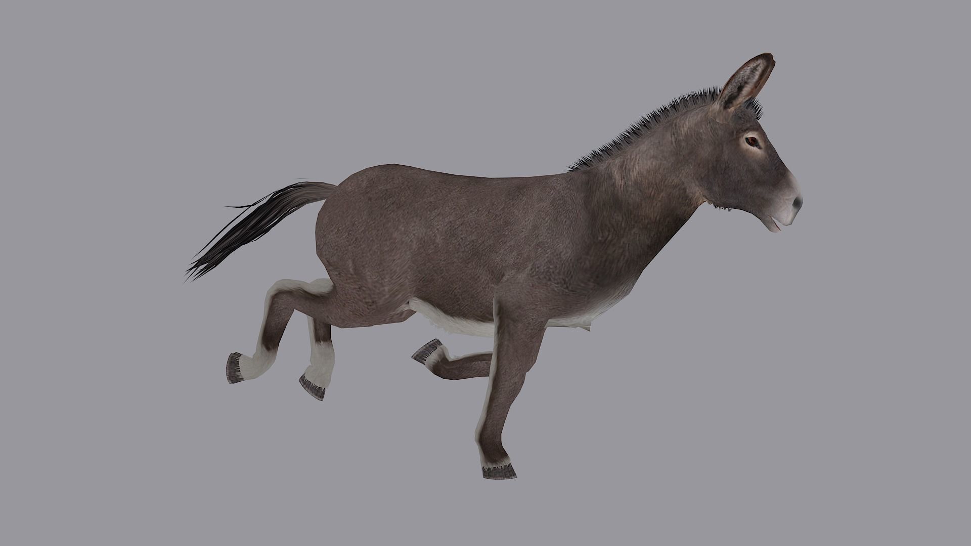 animated donkey Low-poly 3D model_5