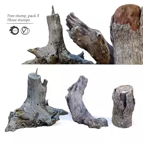 Tree Stump Pack 3