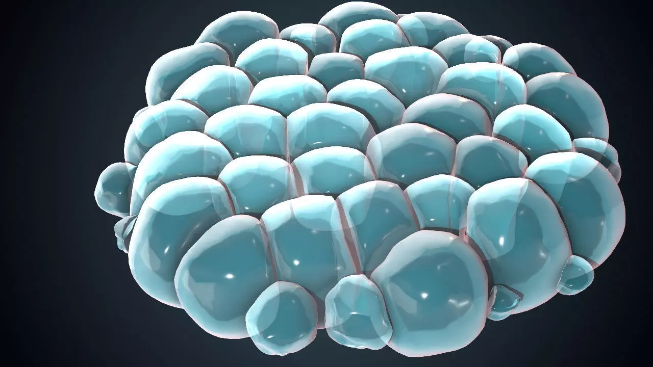 Cell Division Animated 3D Sequence Low-poly 3D model_0