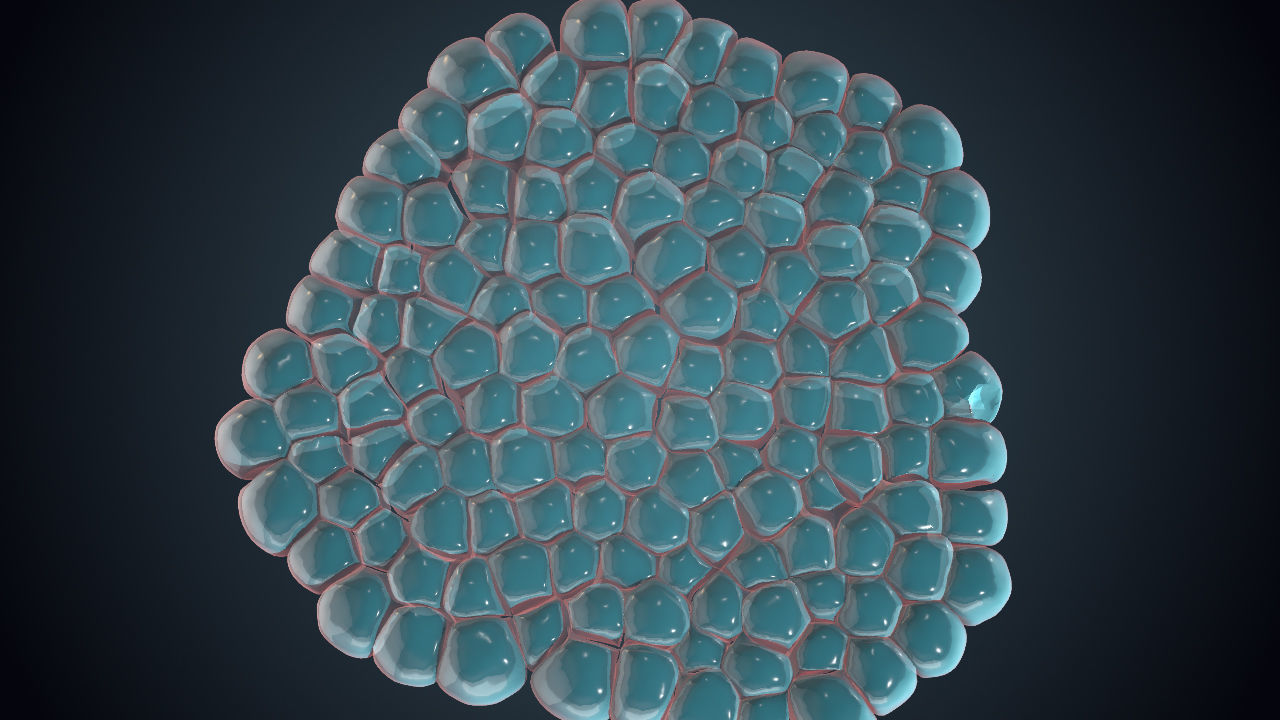 Cell Division Animated 3D Sequence Low-poly 3D model_8
