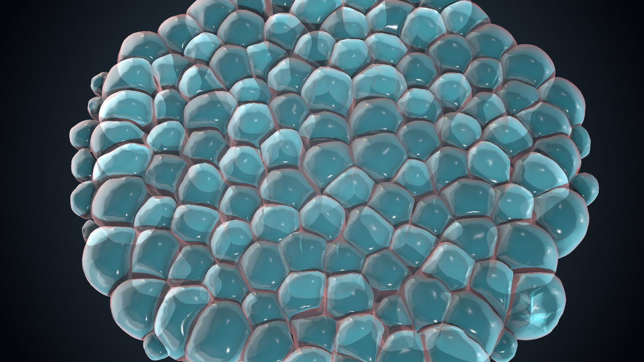 Cell Division Animated 3D Sequence Low-poly 3D model_7