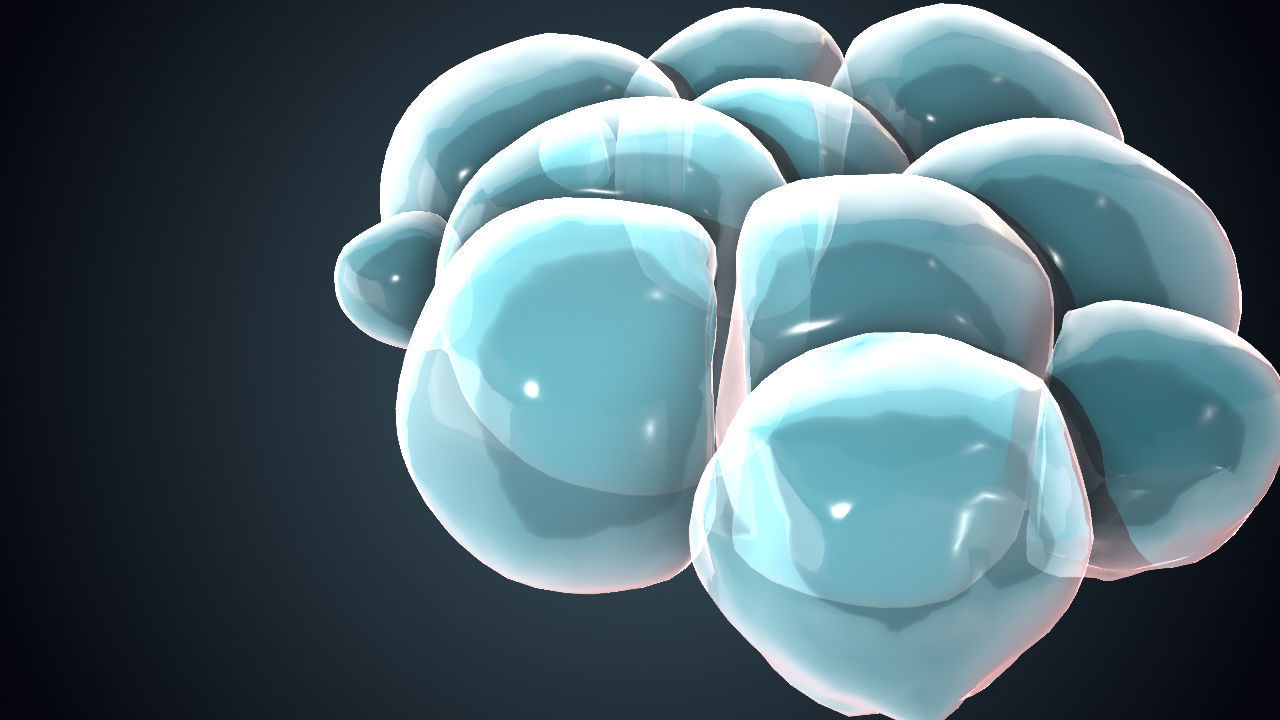 Cell Division Animated 3D Sequence Low-poly 3D model_4