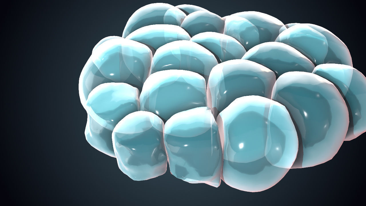 Cell Division Animated 3D Sequence Low-poly 3D model_5