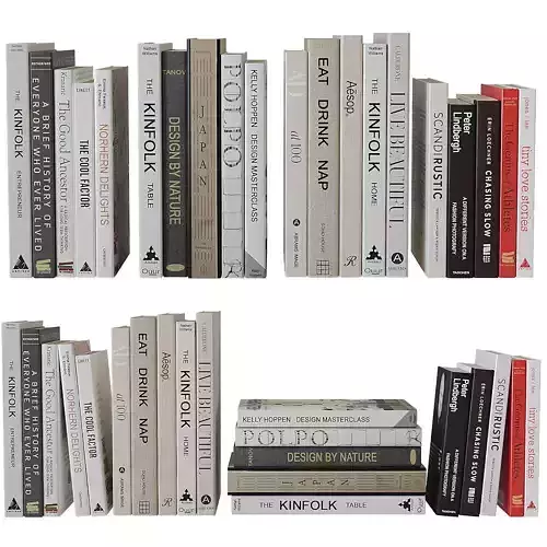 Books set on interior design 3D model