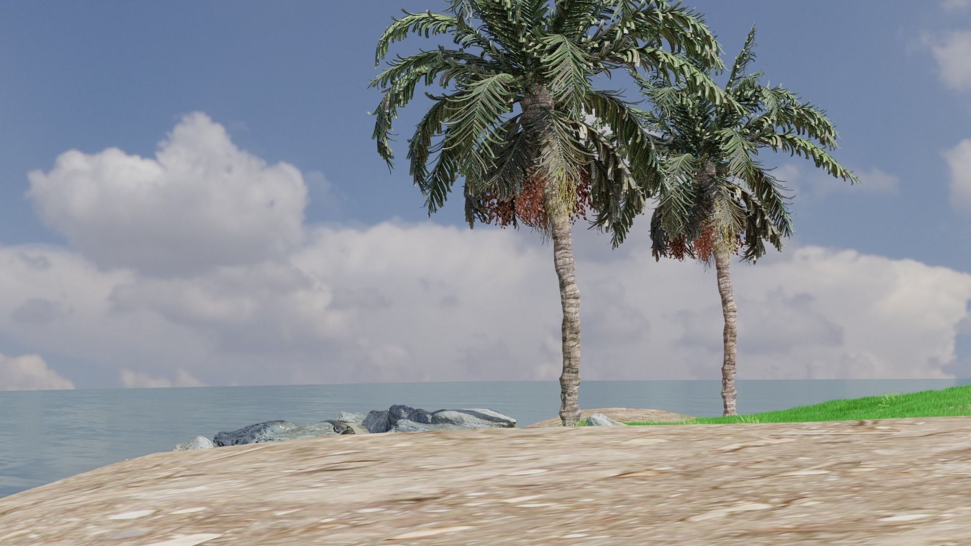 Natural Ocean 3D model | CGTrader