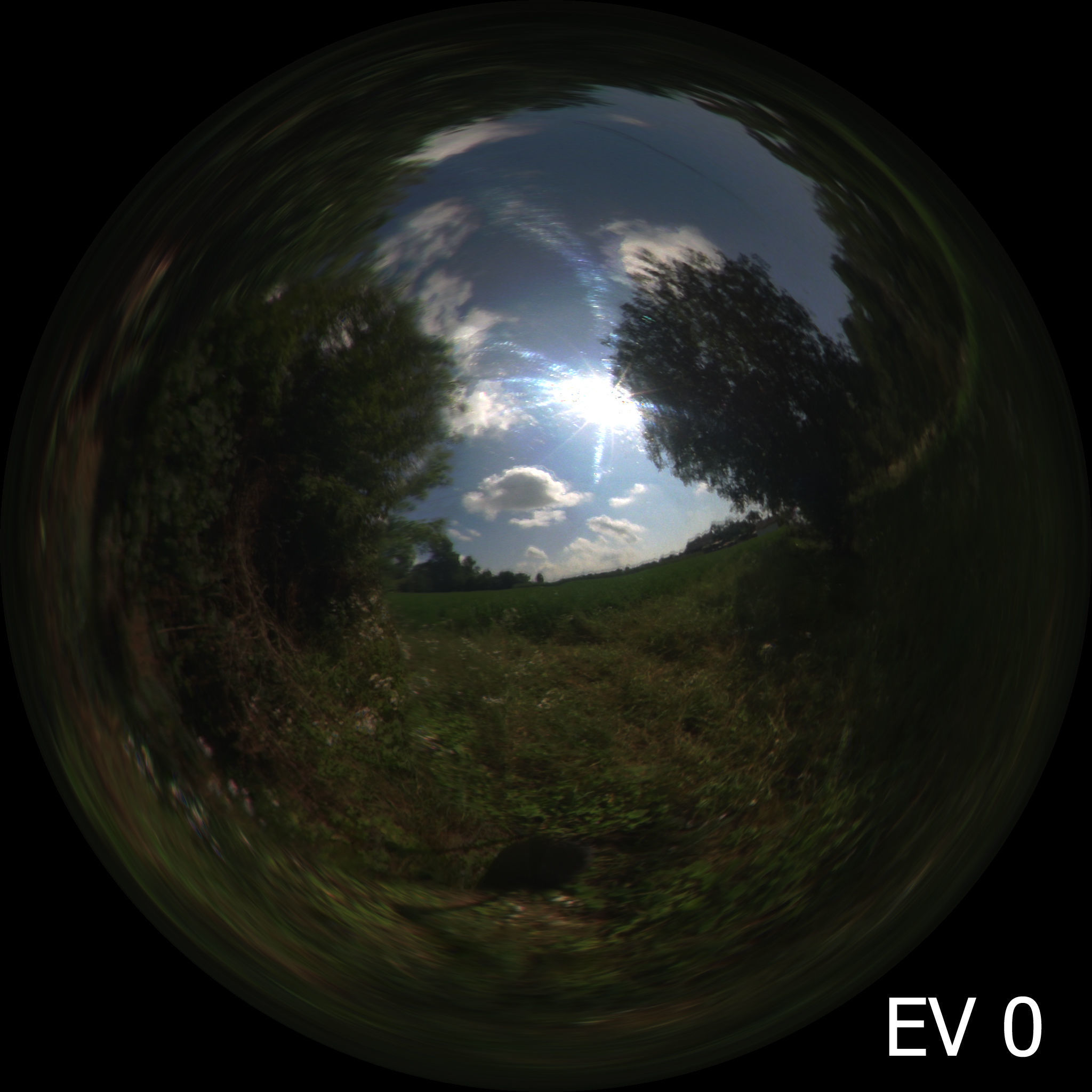 Countryside sunny day HDRi Texture_2