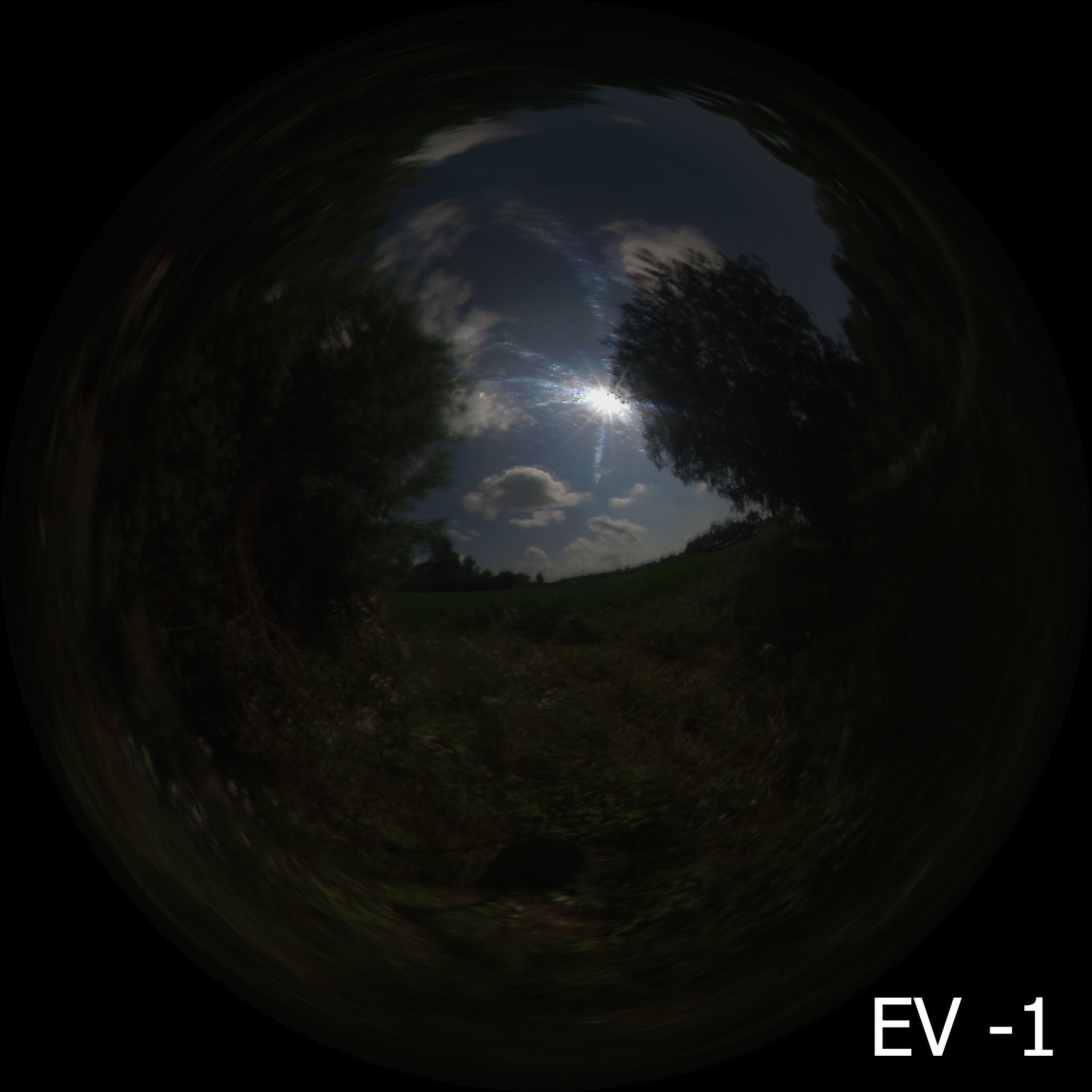 Countryside sunny day HDRi Texture_1