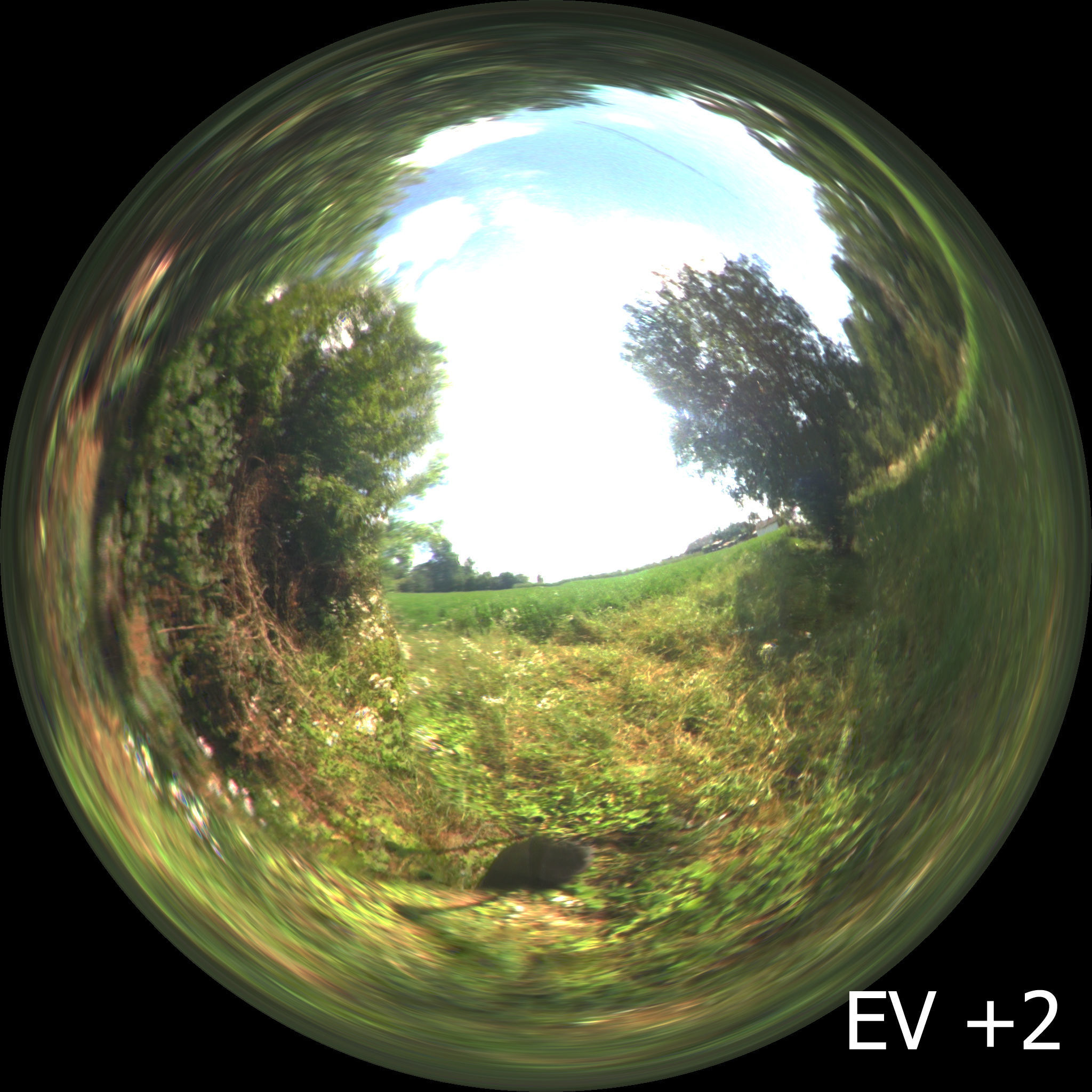 Countryside sunny day HDRi Texture_4