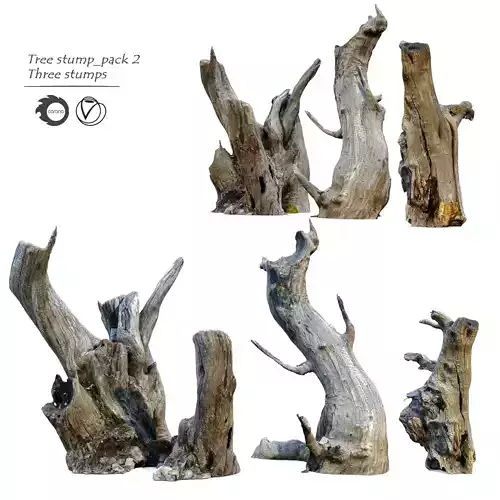 Tree stump pack 02