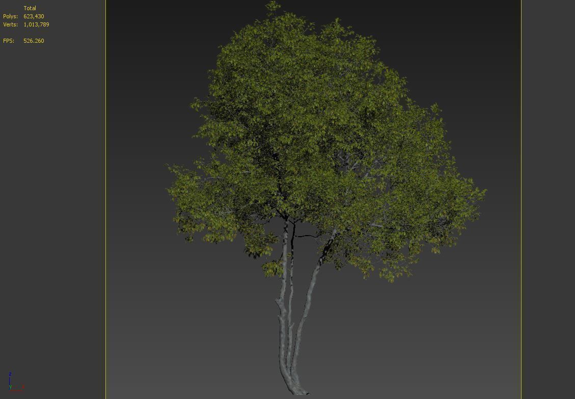 Oak Tree 3 3D model_4