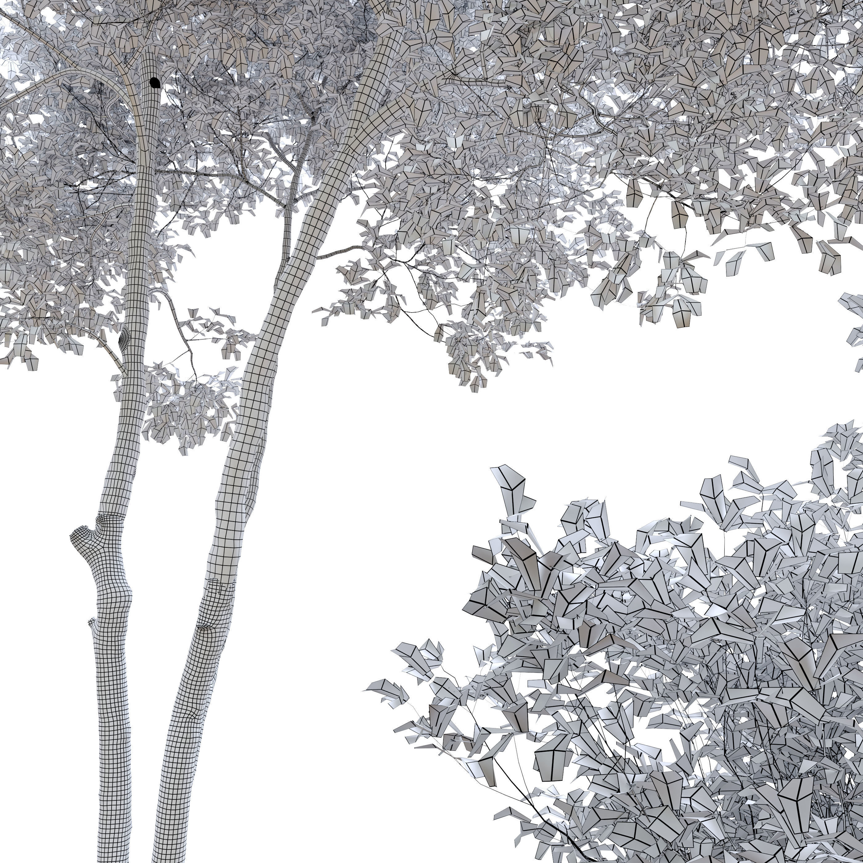 Oak Tree 3 3D model_3