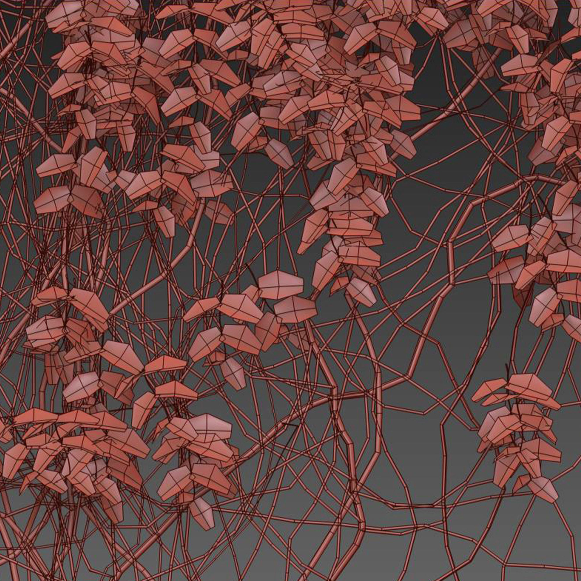 Vine plant 3D model_6