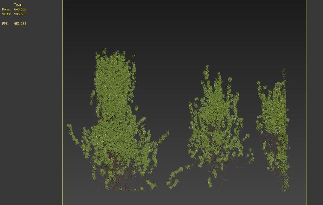 Vine plant 3D model_7