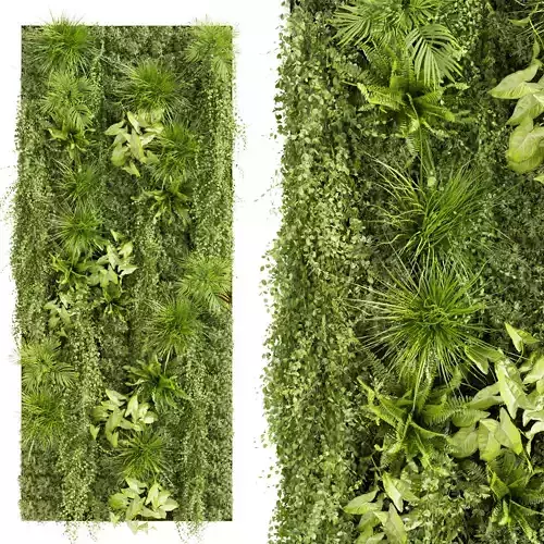 Collection plant vol 386 - fitowall - ertical - leaf - palm 3D model