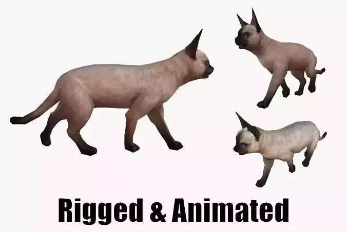 animated siamese cat Low-poly 3D model