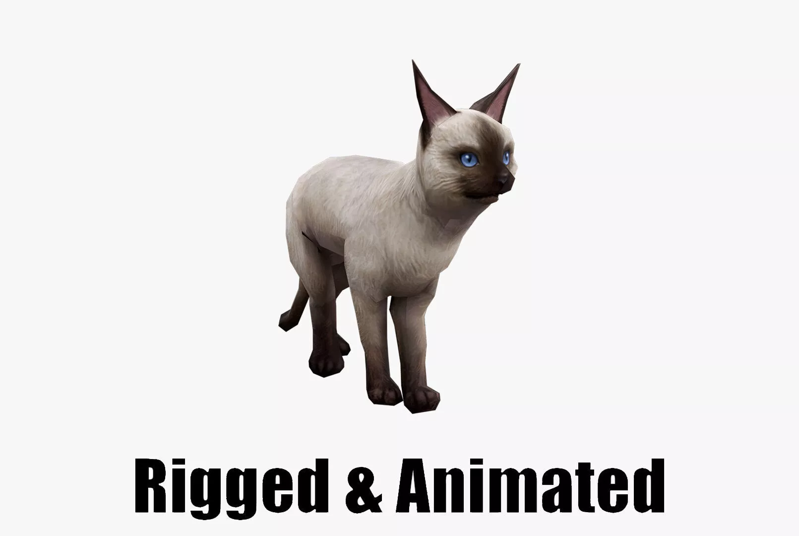 animated siamese cat Low-poly 3D model