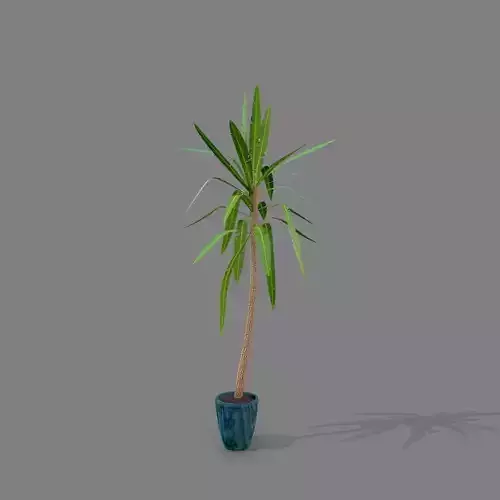 Deco Plant