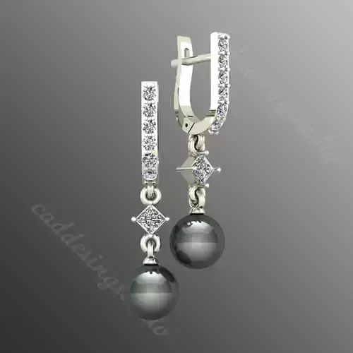 Earrings n6