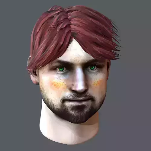 Realistic White Male  Head Bundle 3D model Game Ready Low-poly 
