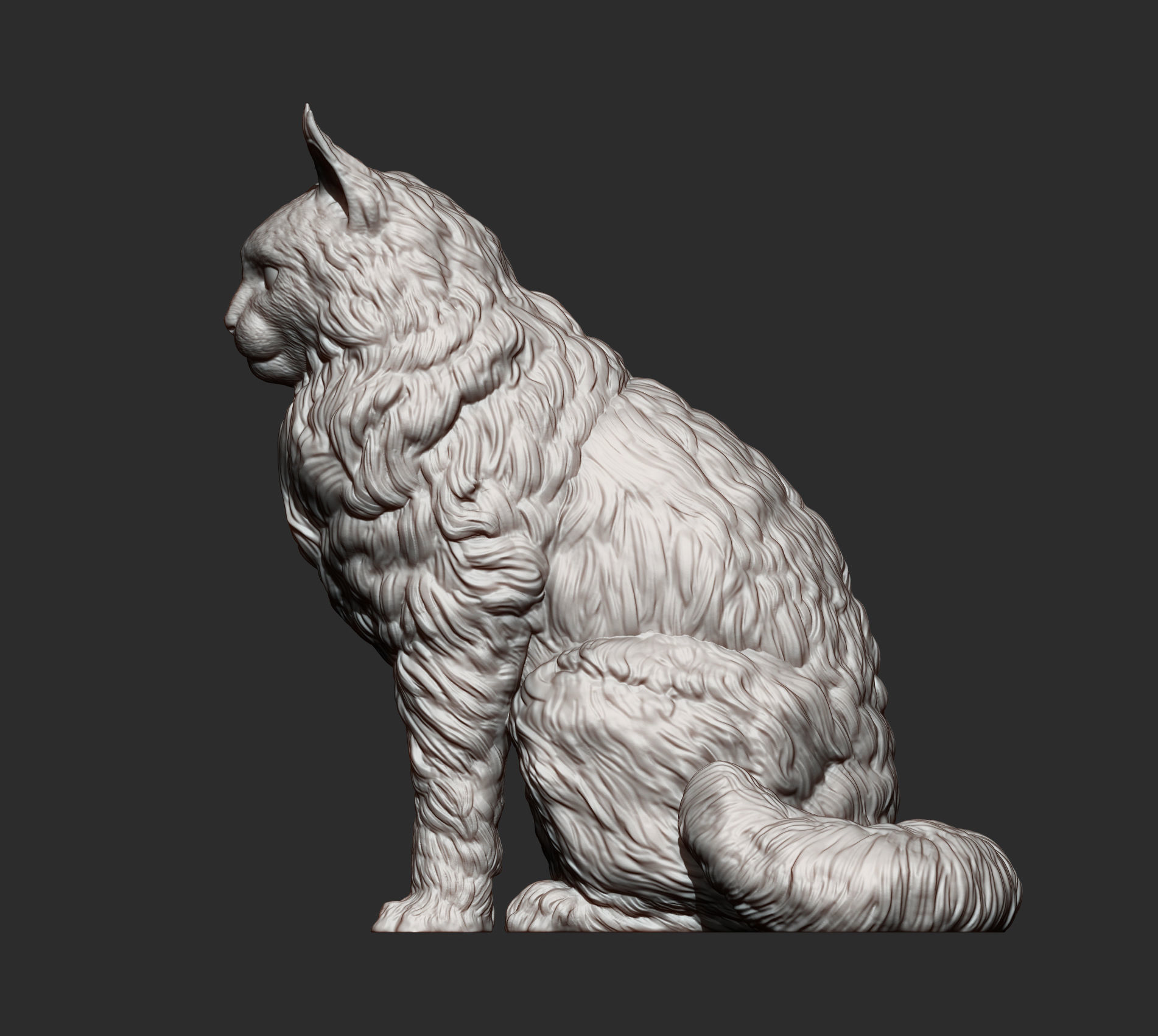 Maine Coon 3D print model_7