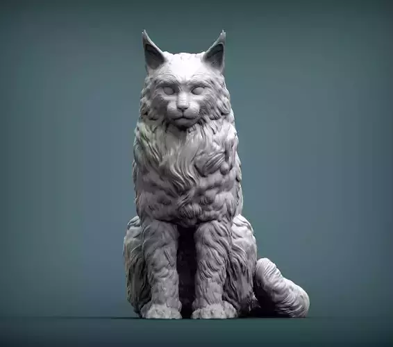 Maine Coon 3D print model