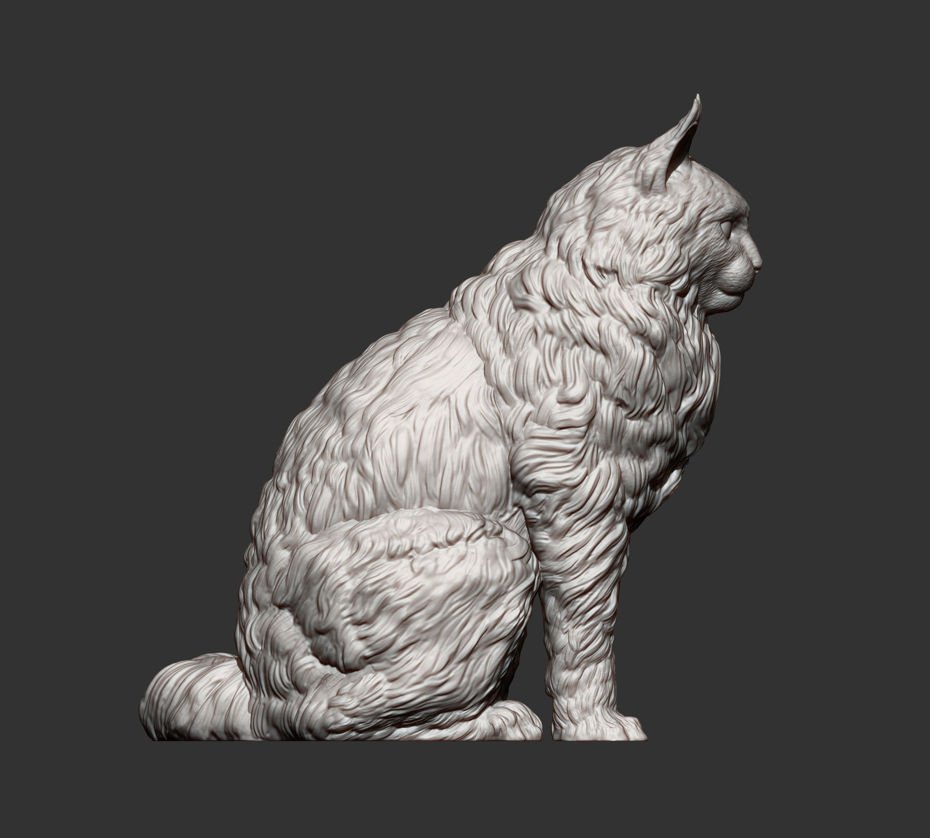 Maine Coon 3D print model_11