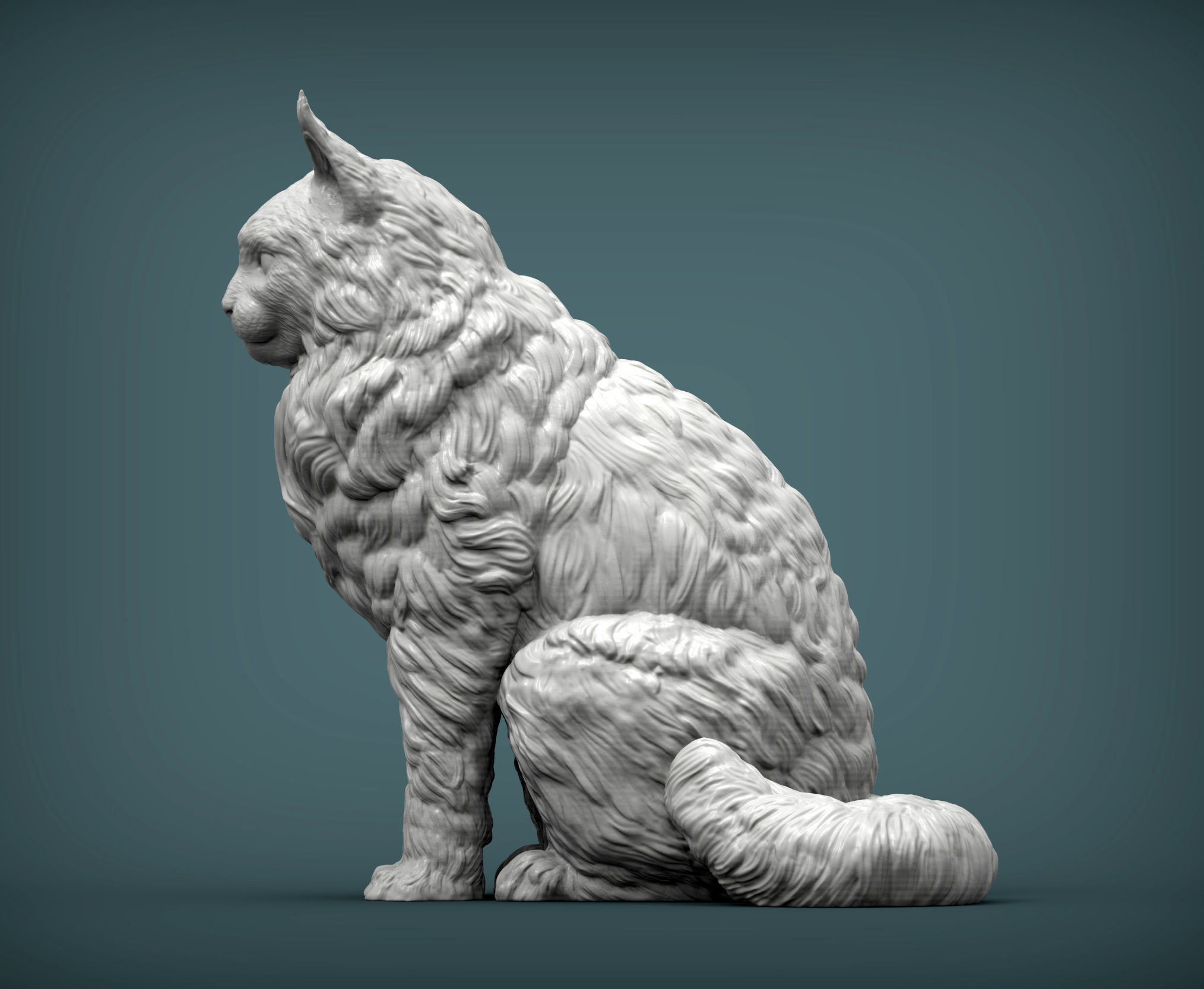 Maine Coon 3D print model_2
