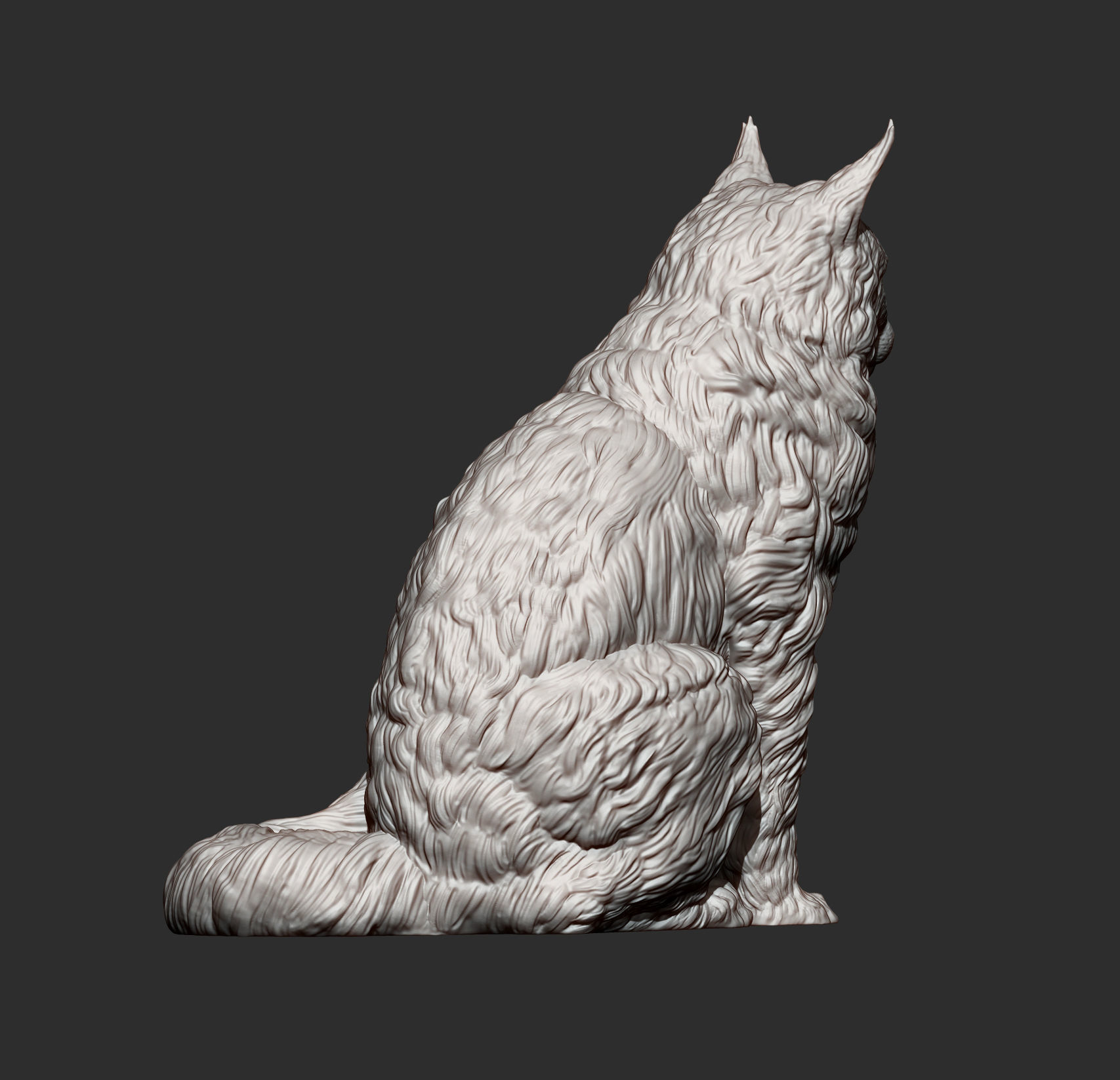 Maine Coon 3D print model_10