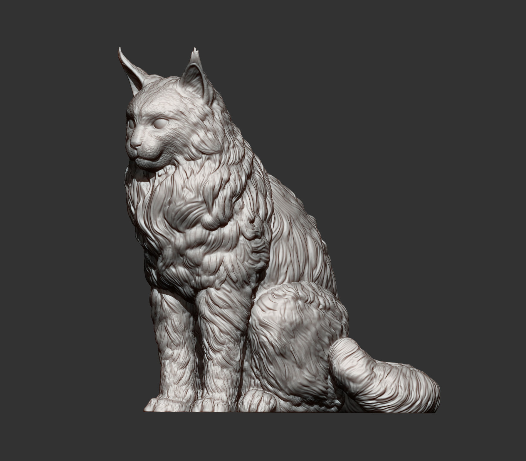 Maine Coon 3D print model_14