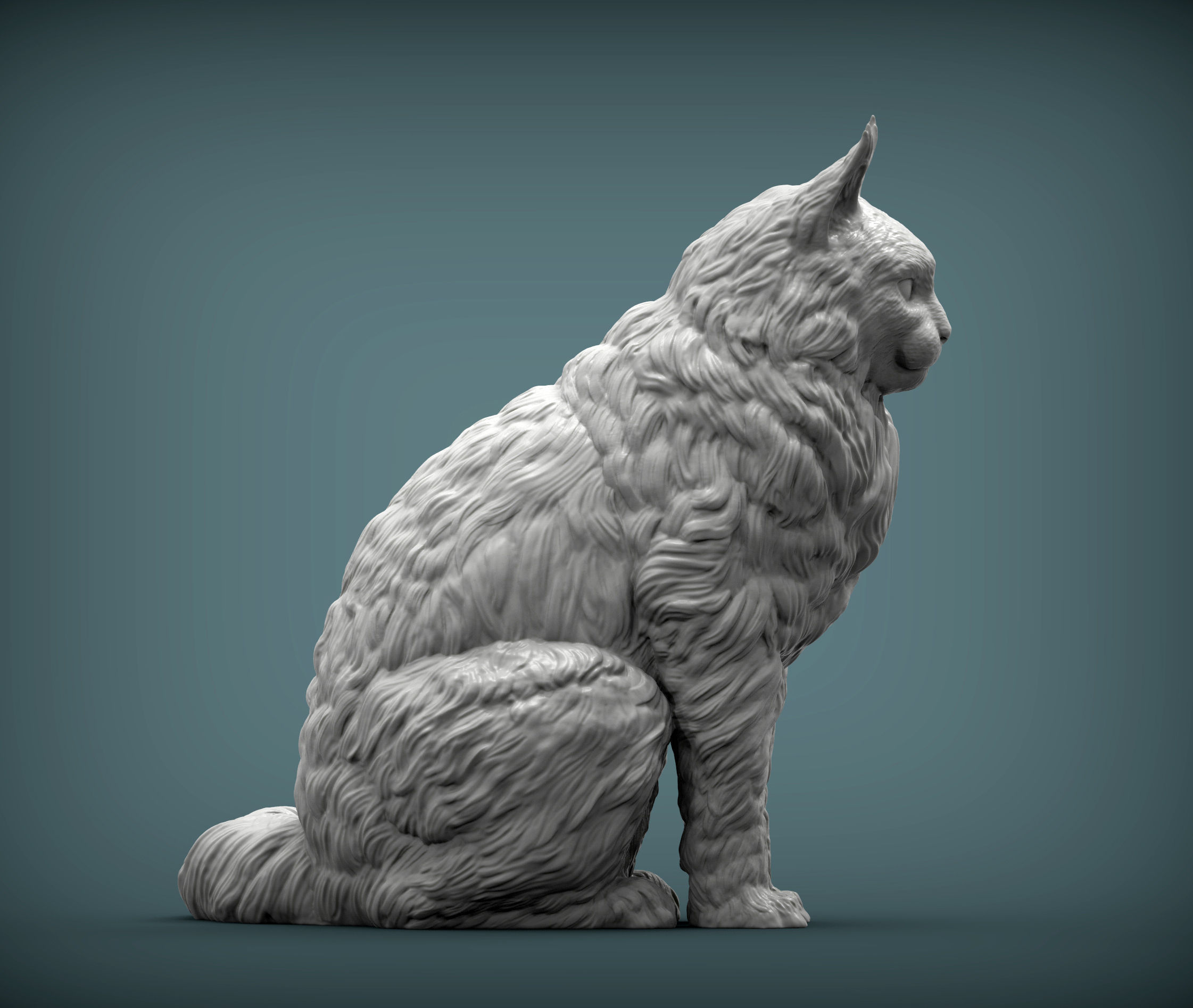 Maine Coon 3D print model_3