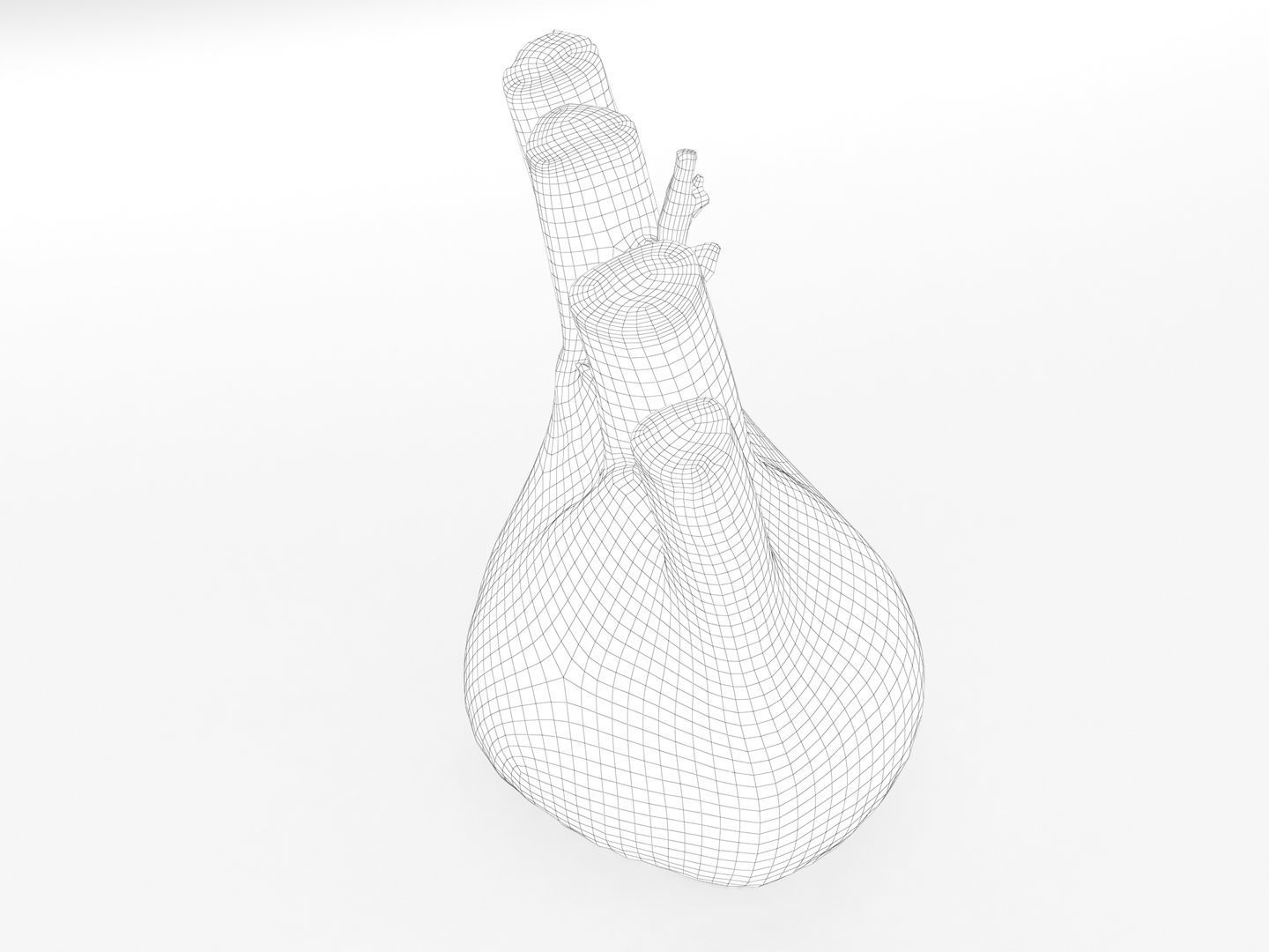 Fennel Bulb 3D model_14
