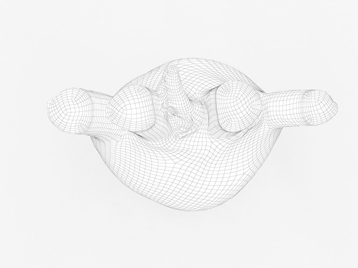 Fennel Bulb 3D model_17