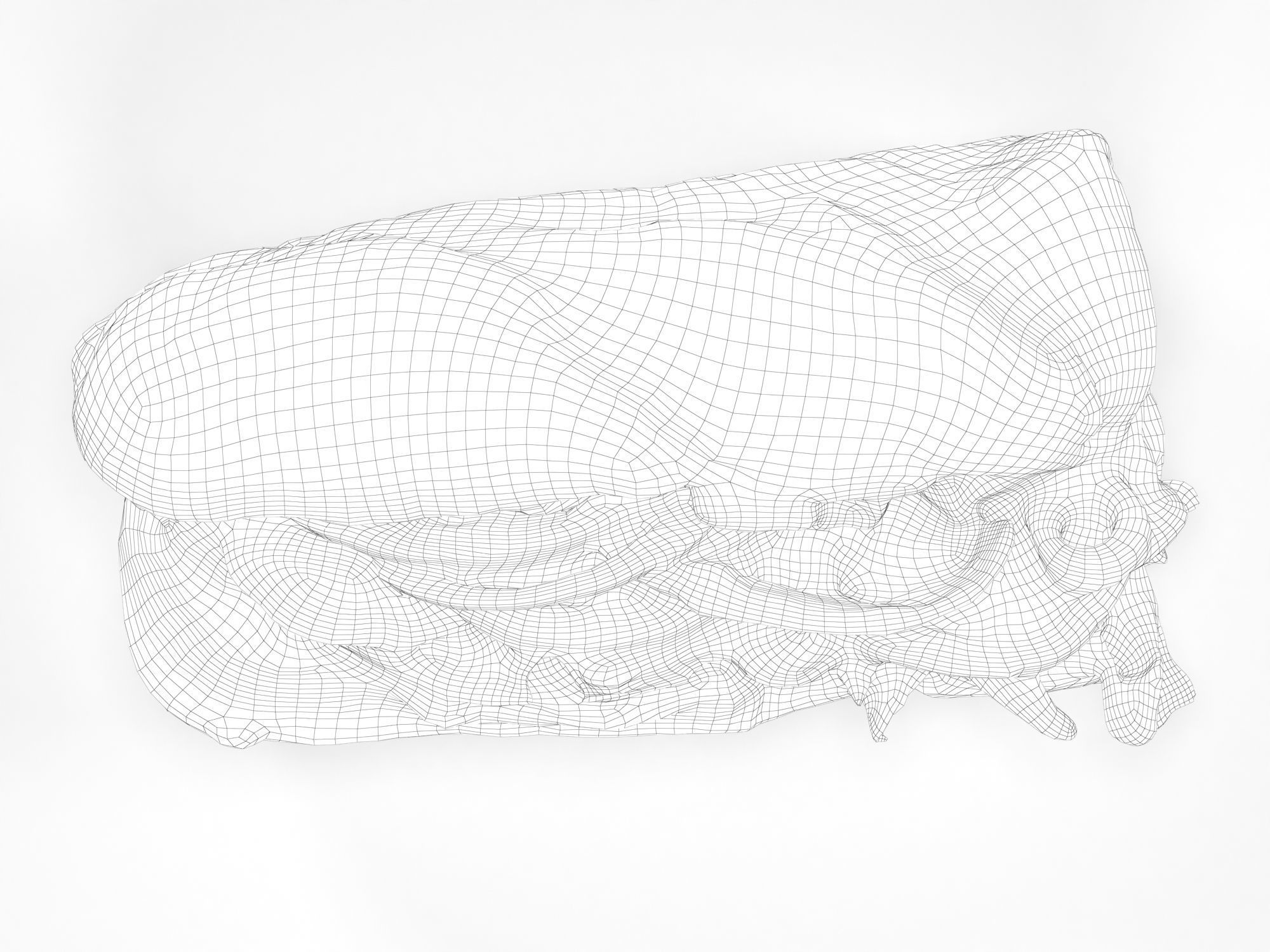 Subway Sandwich 3D model_17