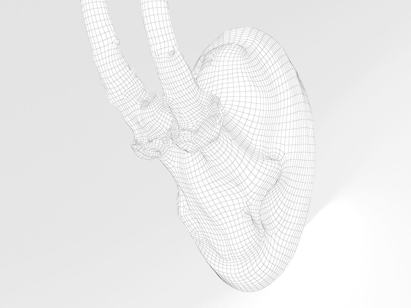 Deer Antler Trophy 3D model_13