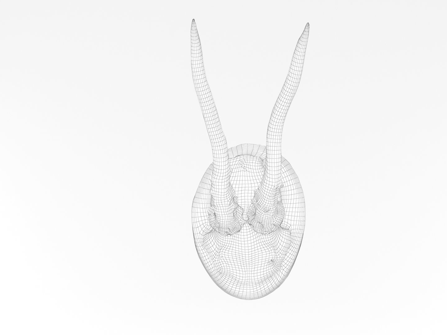 Deer Antler Trophy 3D model_10